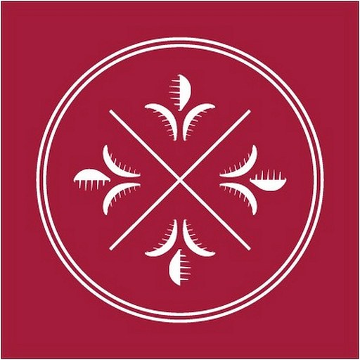MBA Internacional