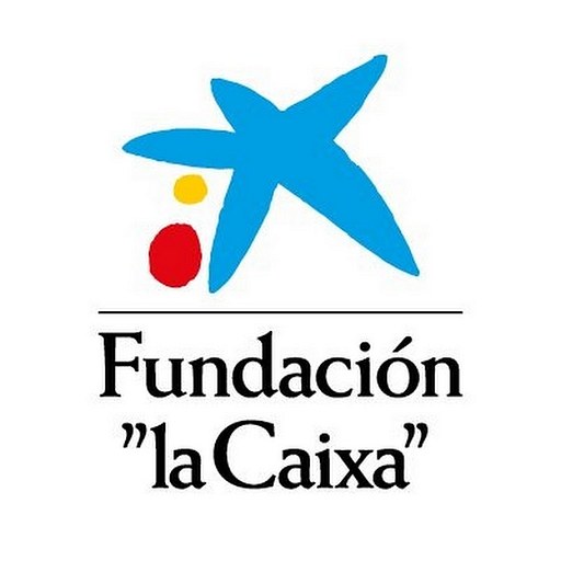 Becas de posdoctorado Junior Leader